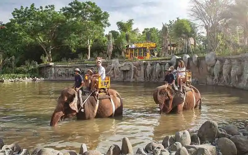 exclusive elephant ride exclusive elephant ride